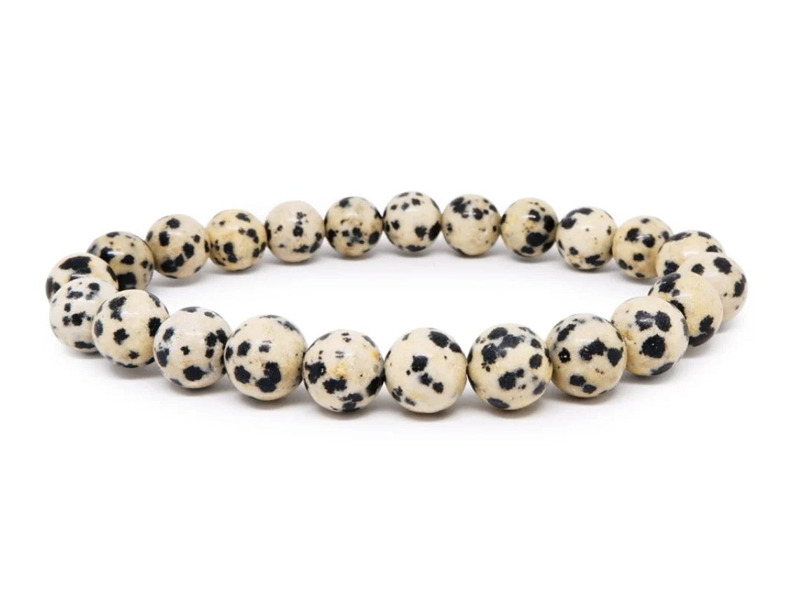 Dalmatian Jasper Bracelet