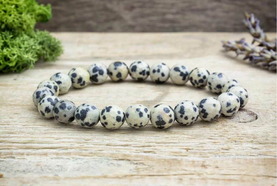 Dalmatian Jasper Bracelet